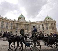  Horse Carriage 
